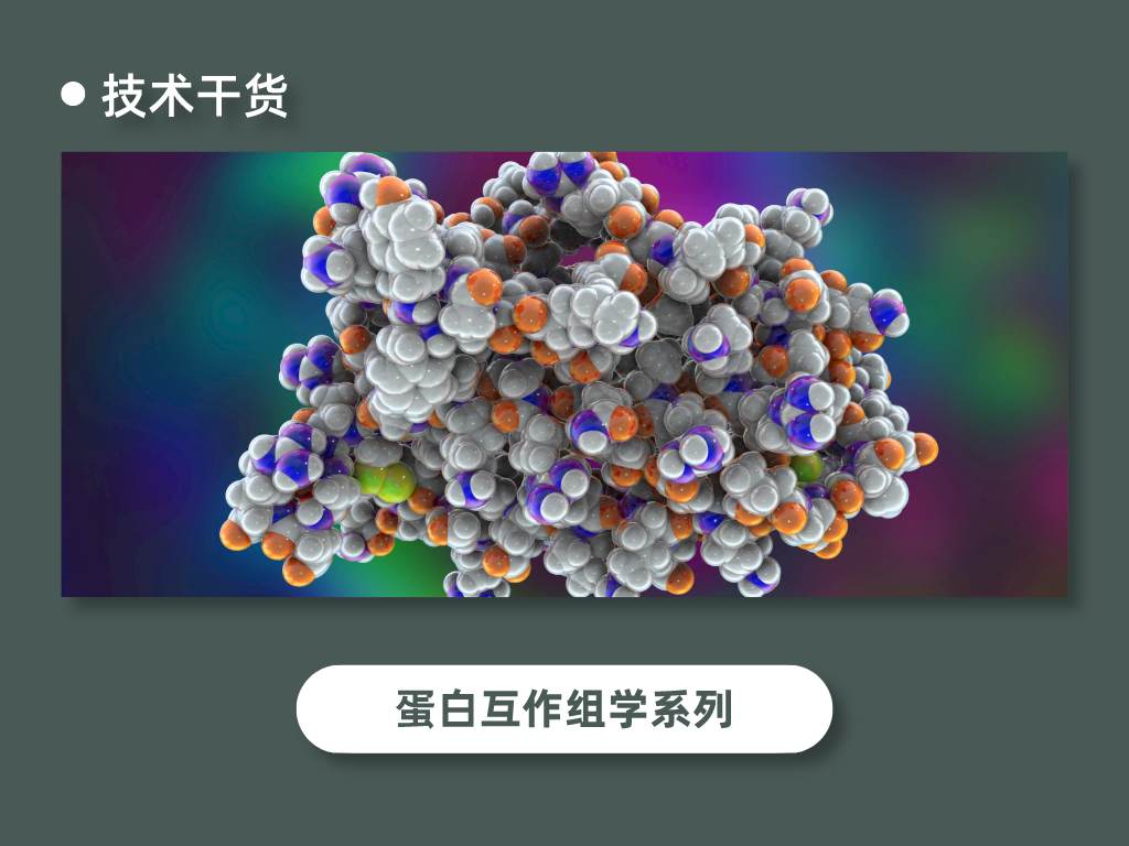 （四）IP-MS数据分析