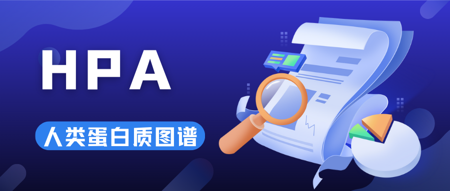 数据库挖掘实操 |（二）HPA——不做实验也能获取免疫组化验证结果