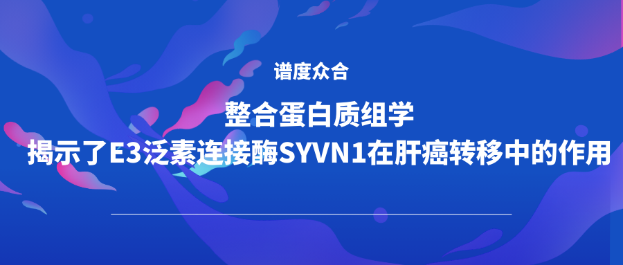  整合蛋白质组学揭示了E3泛素连接酶SYVN1在肝癌转移中的作用